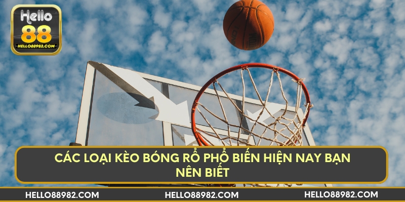 Các loại kèo bóng rổ phổ biến hiện nay bạn nên biết