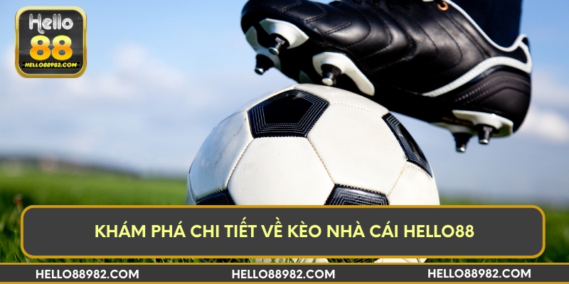 Khám phá chi tiết về kèo nhà cái Hello88