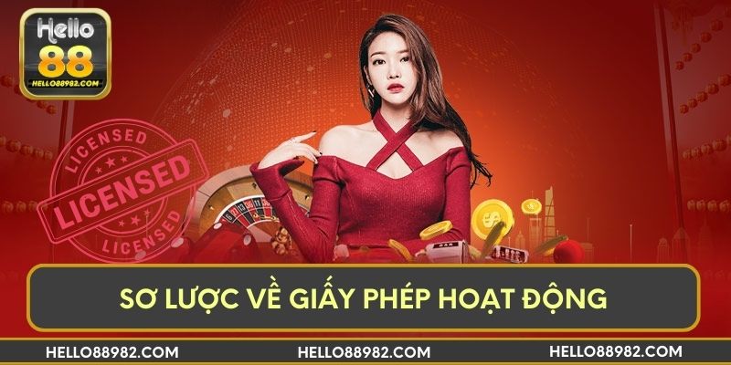 Sơ lược về giấy phép hoạt động