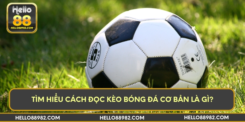 Tìm hiểu cách đọc kèo bóng đá cơ bản là gì?